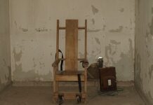 Смертную казнь для коррупционеров хотят ввести в России, жители Ростовской области не исключение