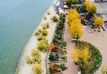 Парк Левобережный в Ростове //Фото пресс-службы Администрации Ростова-на-Дону