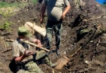 Жителей Мясниковского района эвакуируют из-за найденных боеприпасов //Фото: соцсети