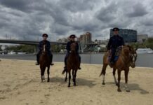 Более тысячи казаков дежурят на пляжах Ростовской области //Фото департамента по делам казачества и кадетских учебных заведений