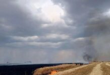Пожар в Ростовской области уничтожил 8 гектаров пшеницы //Фото: МЧС по Ростовской области