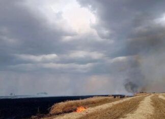 Пожар в Ростовской области уничтожил 8 гектаров пшеницы //Фото: МЧС по Ростовской области