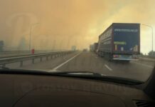Дорогу в районе Чалтыря заволокло дымом из-за пожара //Фото: сообщество Ростов Главный