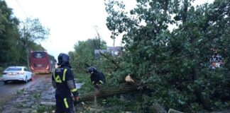 В Ростове убирают последствия уранага //Фото пресс-служба администрации Ростова-на-Дону