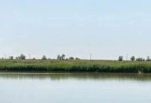 Житель Песчанокопского района едва не утонул в запрещённом месте и получил штраф