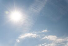 Август в Ростовской области начнётся с жары до 36 градусов