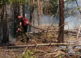 Более ста специалистов брошено на тушение лесного пожара в Цимлянском районе на площади 120 гектаров