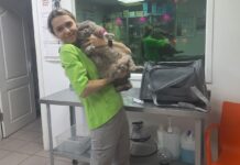 «Не назначить лишнего ― тоже лечение»: ветеринар Кира Фомина о современной медицине для животных Кира Фомина // Фото из личного архива Киры Фоминой