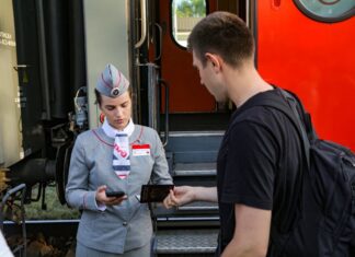 В Ростовской области 86% билетов на поезда покупают через интернет Проводник проверяет документы пассажира перед посадкой в поезд //Фото пресс-службы СКЖД