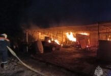 Сварочные работы стали причиной пожара в Кагальницком районе Пожар в Кагальницком районе // Фото: пресс-служба МЧС России по Ростовской области