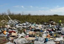 В районе Гребного канала в Ростове нашли многочисленные свалки