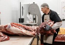 Сбер показал журналистам полный цикл переработки мяса на МПК «Виктория» в Песчанокопском районе