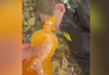 В Ростове подростки избивают пенсионерок и бездомных ради видео в сети