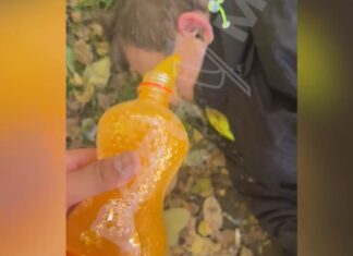 В Ростове подростки избивают пенсионерок и бездомных ради видео в сети