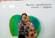 Из приюта — домой: 95 животных нашли хозяев в Ростове Фестиваль // Фото: Андрей Асланов, пресс-служба Юго-Западного банка Сбербанка