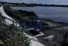 В Ростовской области укрепляют защиту от паводков и восстанавливают водные объекты Отремонтированная территория // Фото: Министерство природных ресурсов и экологии Ростовской области