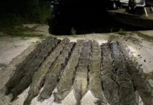 В Ростовской области возбудили уголовное дело из-за незаконного вылова раков Незаконный вылов // Фото: пресс-служба УТ МВД России по СКФО