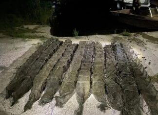 В Ростовской области возбудили уголовное дело из-за незаконного вылова раков Незаконный вылов // Фото: пресс-служба УТ МВД России по СКФО